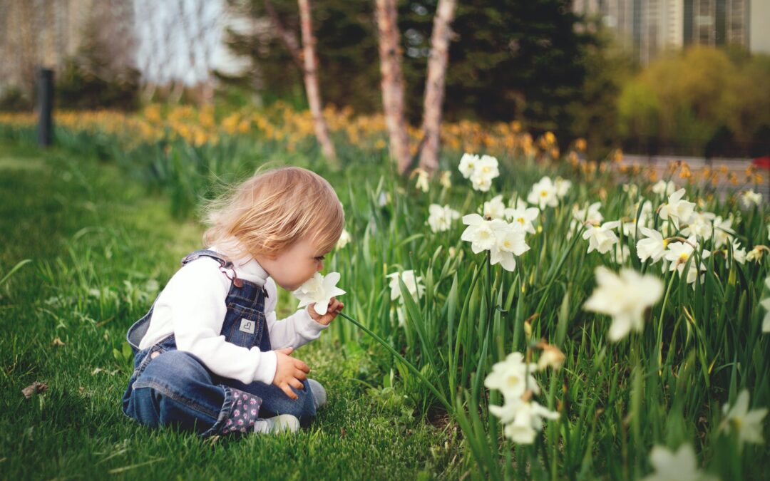 Toddler Teething Advise From Dentist